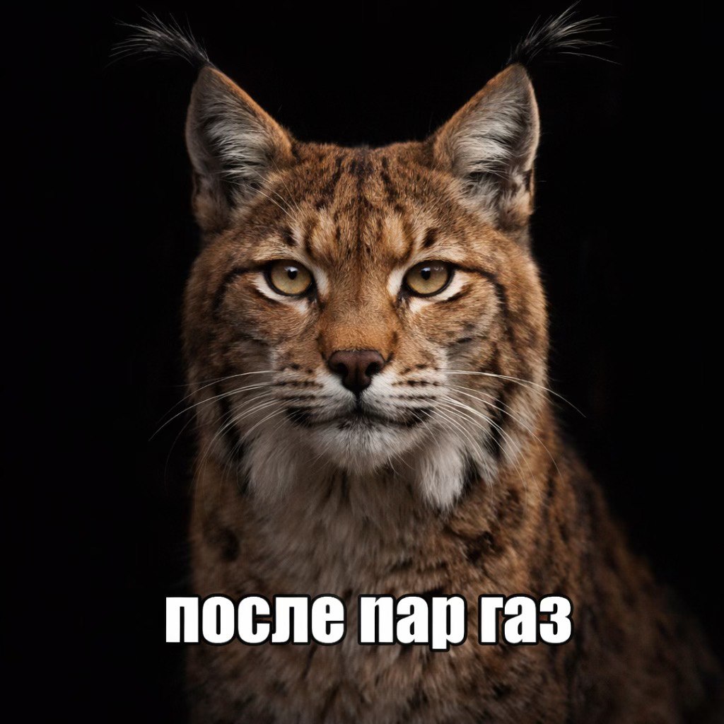 после пар газ