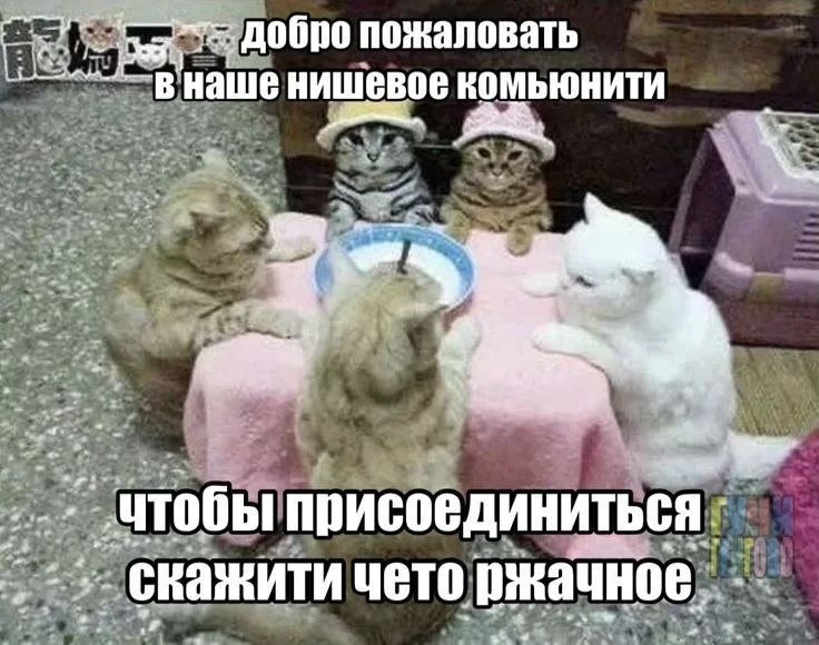 Sag пожаловать наше нишевое комьюнити присоединиться чето ржачное