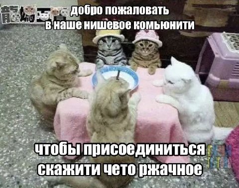 Sag пожаловать наше нишевое комьюнити присоединиться чето ржачное