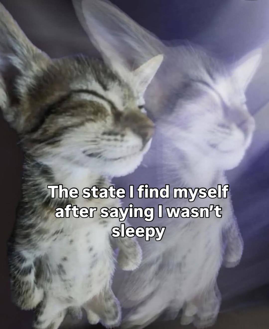 The state find myself after saying wasn’t sleepy