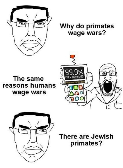 Why primates wage wars? same reasons humans wage wars 2 There are Jewish primates?