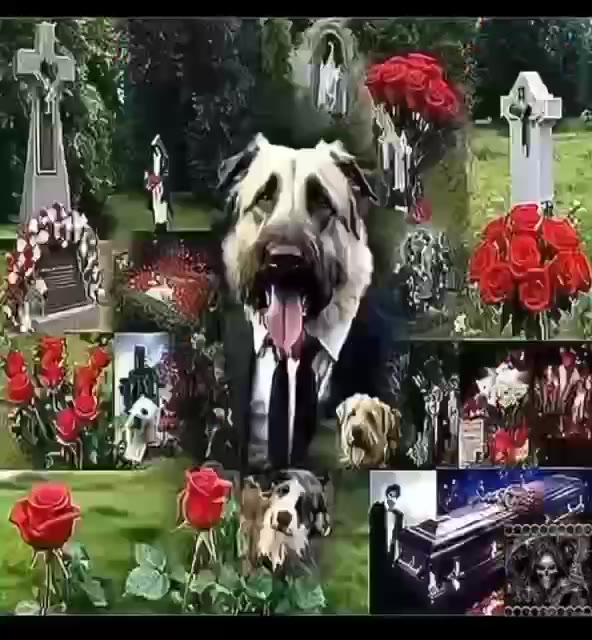 у a я