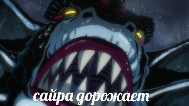сайра дорожает