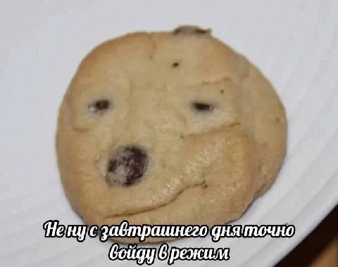 точно с дня режим