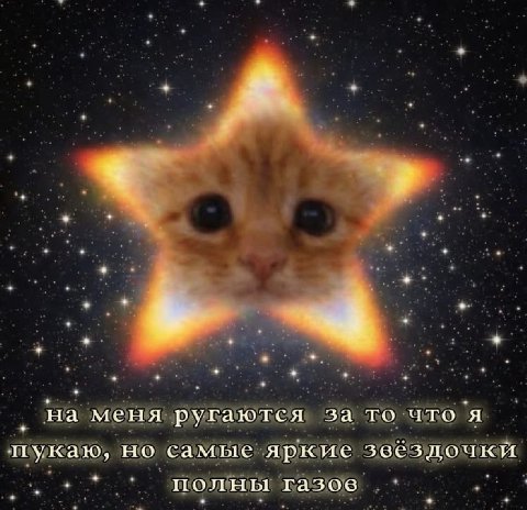 на меня ругаются за то что я пукаю, но самые яркис звездочки полны газов