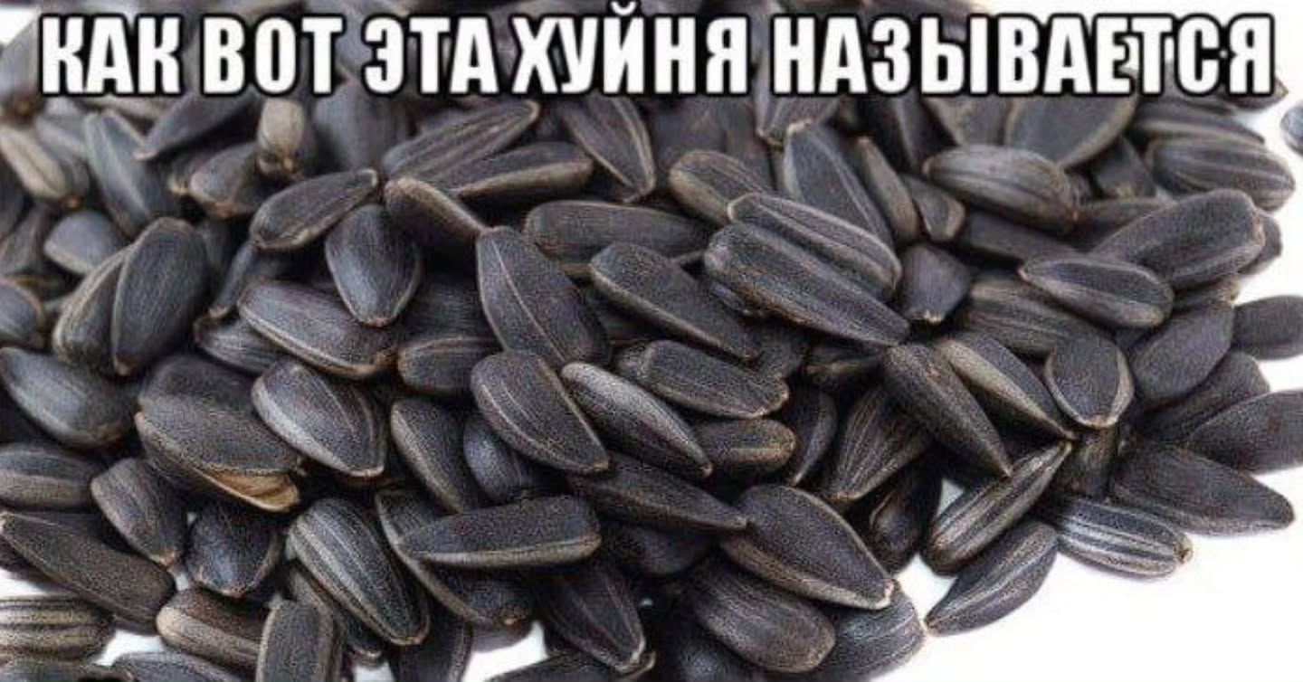КАК BOT ЭТА ХУИНЯ НАЗЫВАЕТСЯ в
