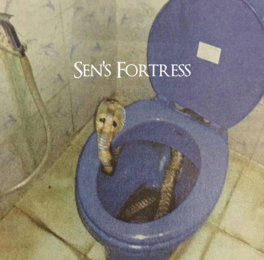SEN'S FORTRESS