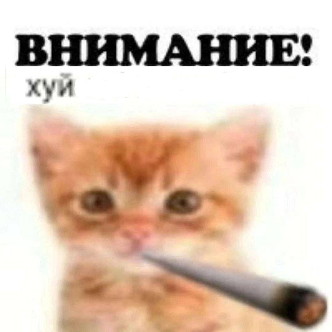 ВНИМАНИЕ! хуй