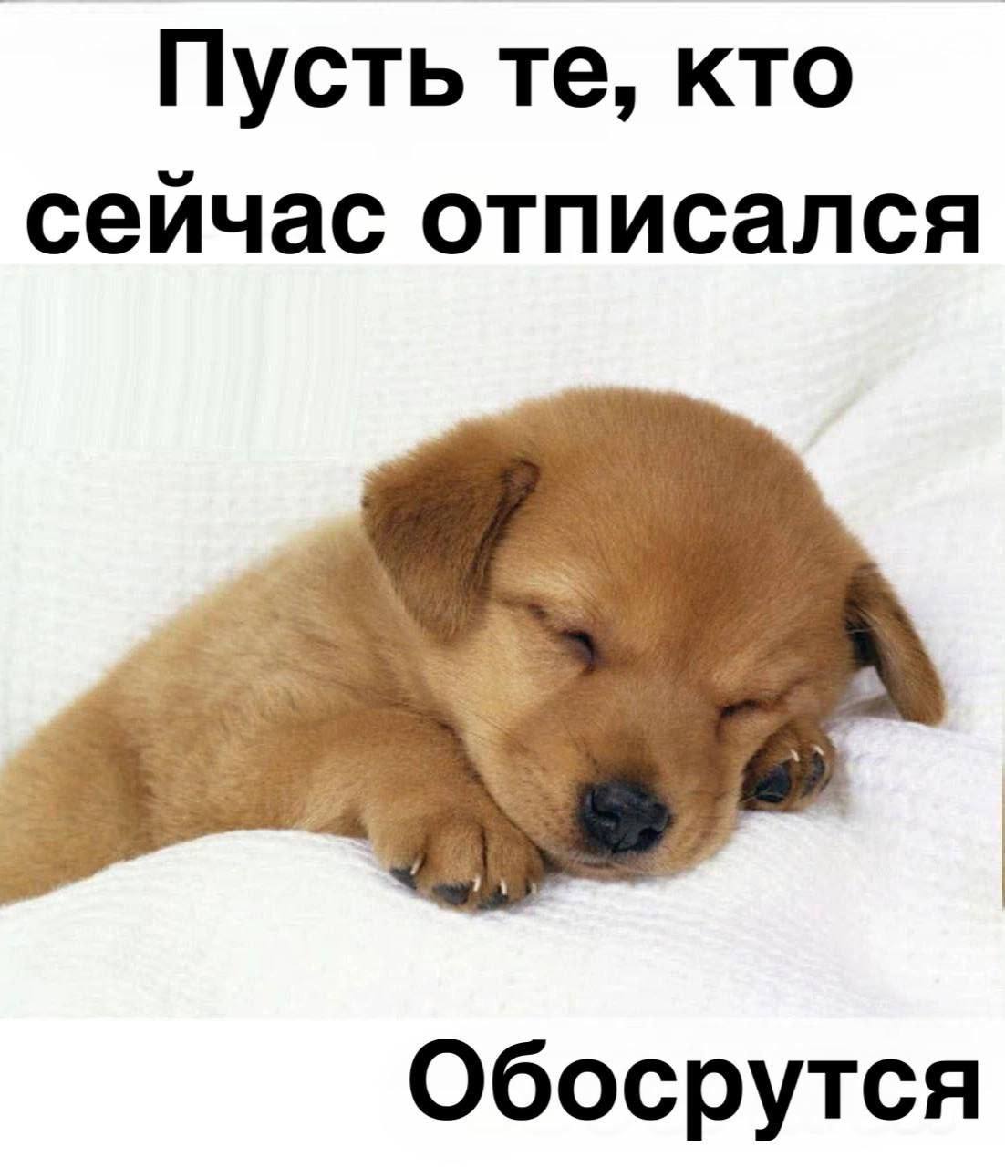 Пусть кто сейчас отписался Обосрутся