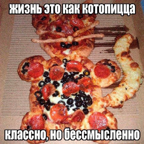 ЖИЗНЬ ЭТО вотопицца классно,