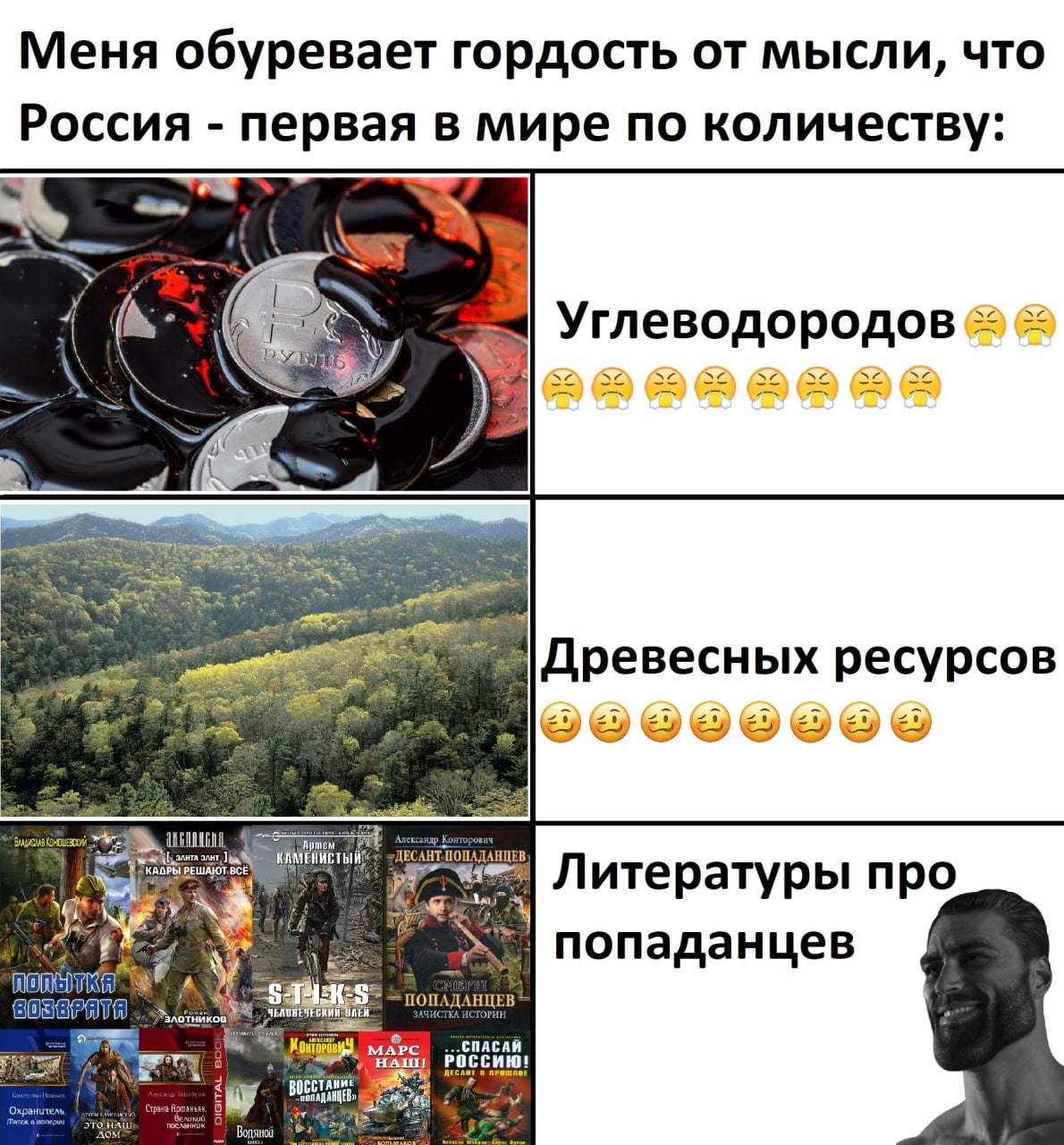 Меня обуревает гордость от мысли, что Россия первая в мире по количеству: Углеводородов 52 52 5 Древесных ресурсов С. НЦЕВ Литературы про попаданцев у ПОПАД.