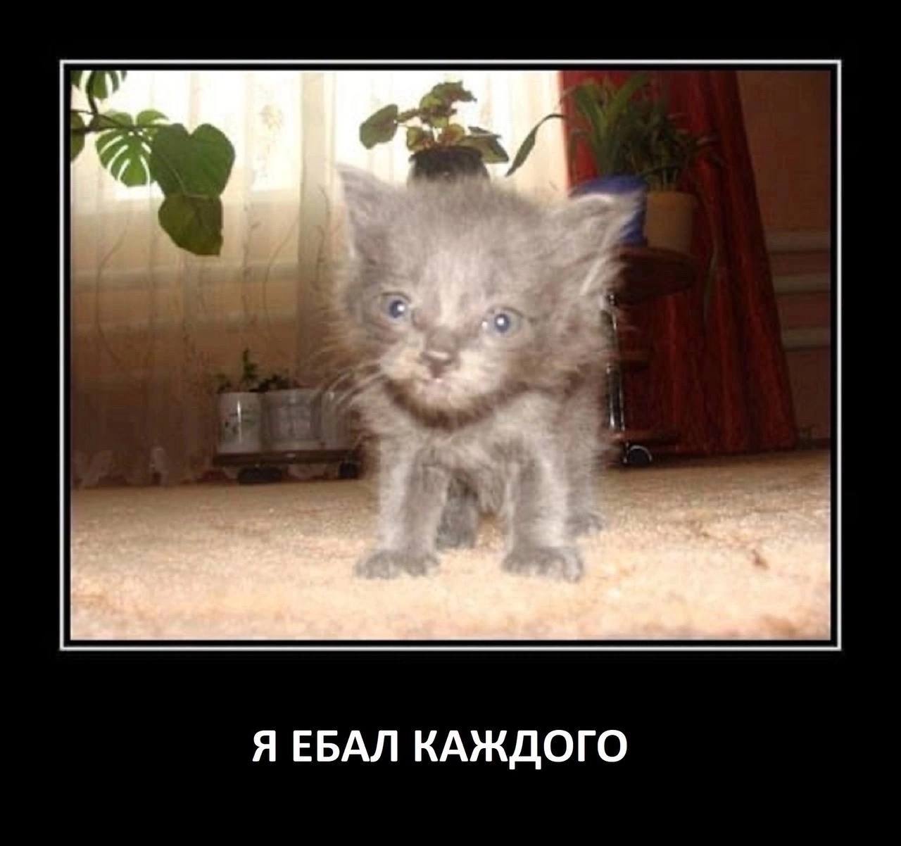 Я ЕБАЛ КАЖДОГО