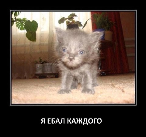 Я ЕБАЛ КАЖДОГО