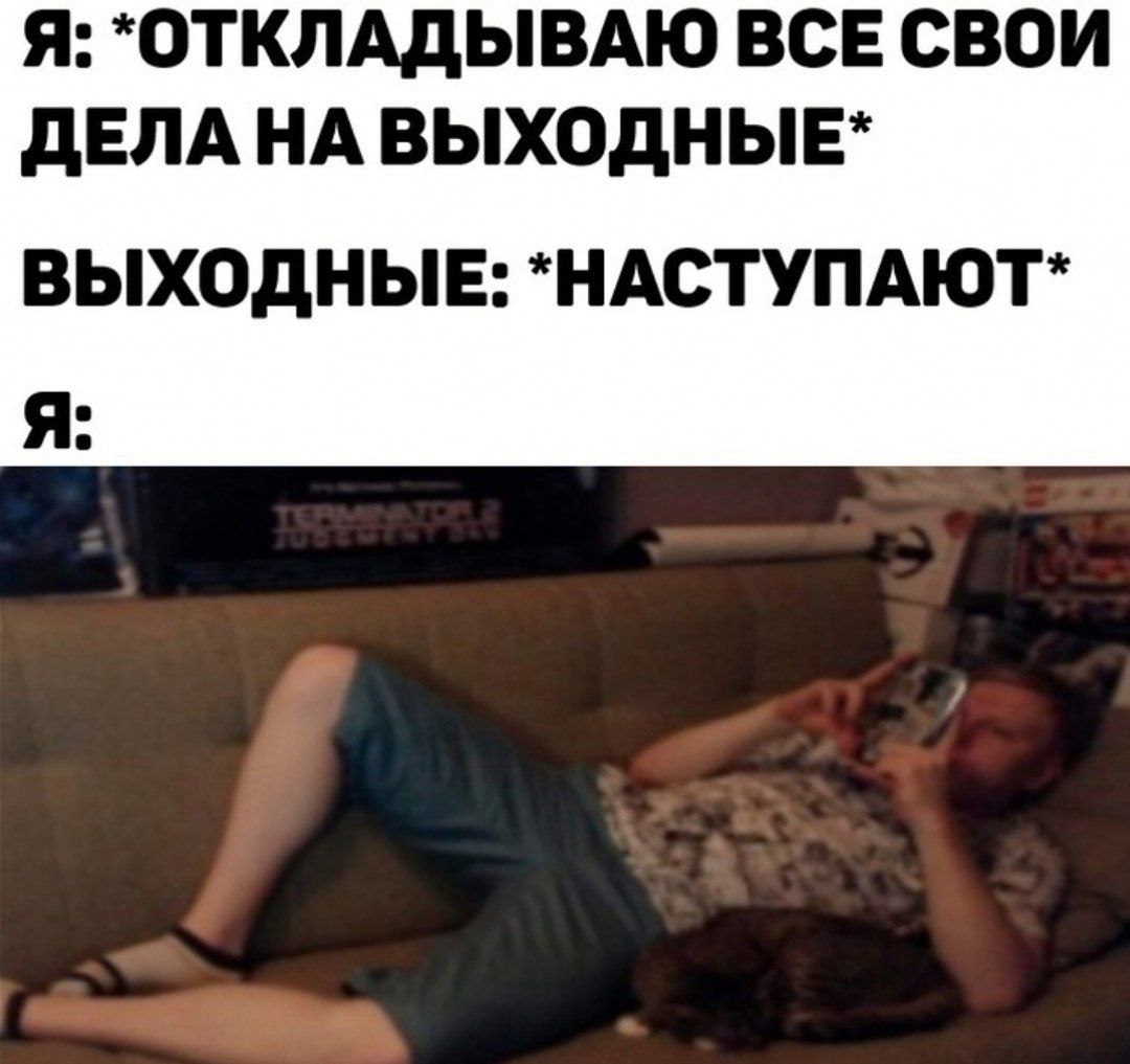 Я: *ОТКЛАДЫВАЮ ВСЕ СВОИ ДЕЛАНАВЫХОДНЫЕ* ВЫХОДНЫЕ: *НАСТУПАЮТ* Я:
