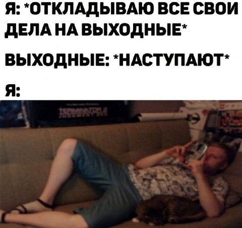 Я: *ОТКЛАДЫВАЮ ВСЕ СВОИ ДЕЛАНАВЫХОДНЫЕ* ВЫХОДНЫЕ: *НАСТУПАЮТ* Я: