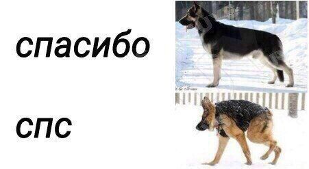 спасибо СПС