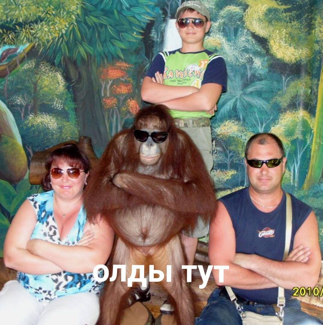 лды тут 2010;