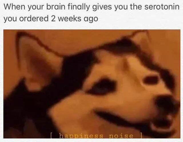 When your brain finally gives you the serotonin you ordered 2 weeks ago
