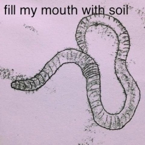 fill my mouth with we