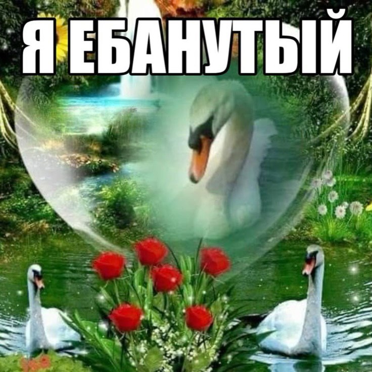 fle БАНУТ ove