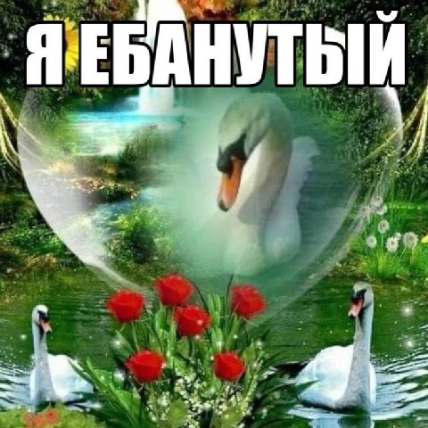 fle БАНУТ ove
