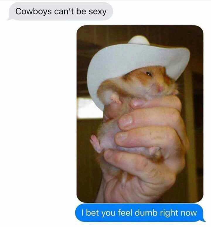 Cowboys can’t be sexy bet you feel dumb right now