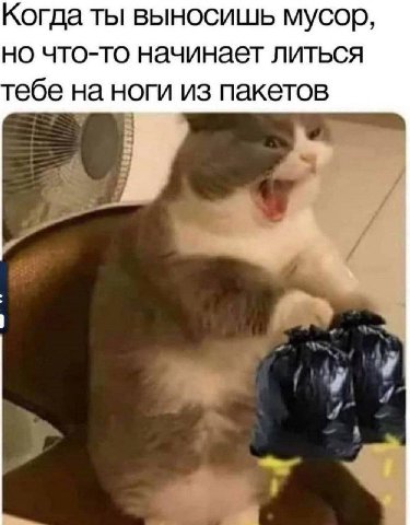 Когда ты выносишь мусор, но что-то начинает литься тебе на ноги из пакетов и 4