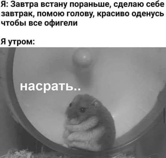 Я: Завтра встану пораньше, сделаю себе завтрак, помою голову, красиво оденусь чтобы все офигели Я утром: