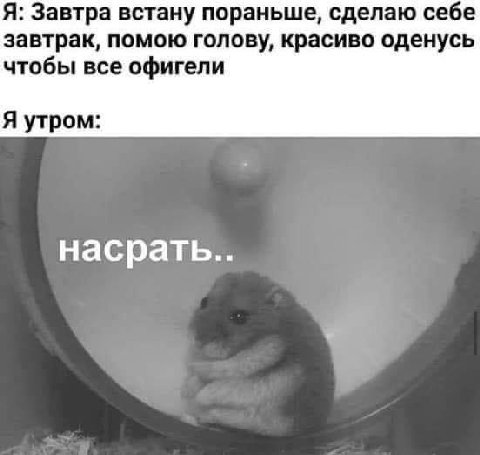Я: Завтра встану пораньше, сделаю себе завтрак, помою голову, красиво оденусь чтобы все офигели Я утром: