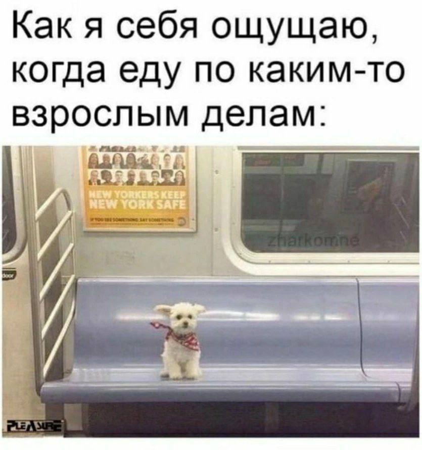Как я себя ощущаю, когда еду по каким-то взрослым делам: