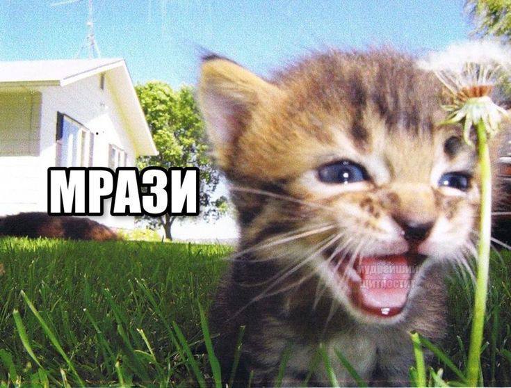 и. У 4 МРАЗИ» if 4 и A А 4