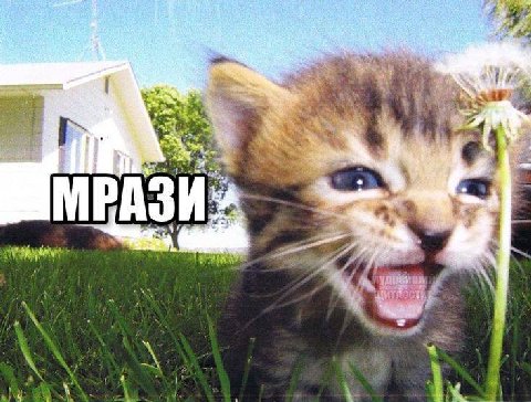 и. У 4 МРАЗИ» if 4 и A А 4