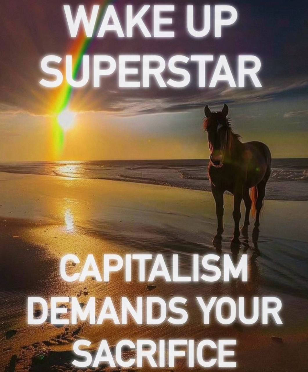 WAKE UP SUPERSTAR CAPITALISM DEMANDS YOUR SACRIFICE