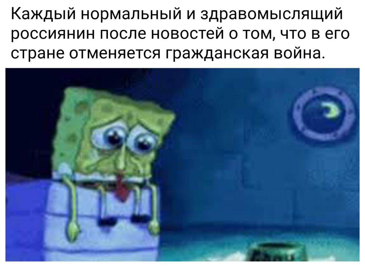 Каждый нормальный и здравомыслящий россиянин после новостей о том, что в его стране отменяется гражданская война. of