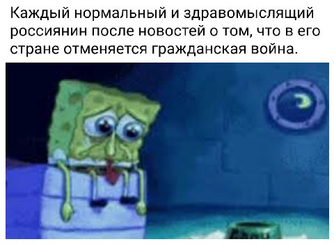 Каждый нормальный и здравомыслящий россиянин после новостей о том, что в его стране отменяется гражданская война. of