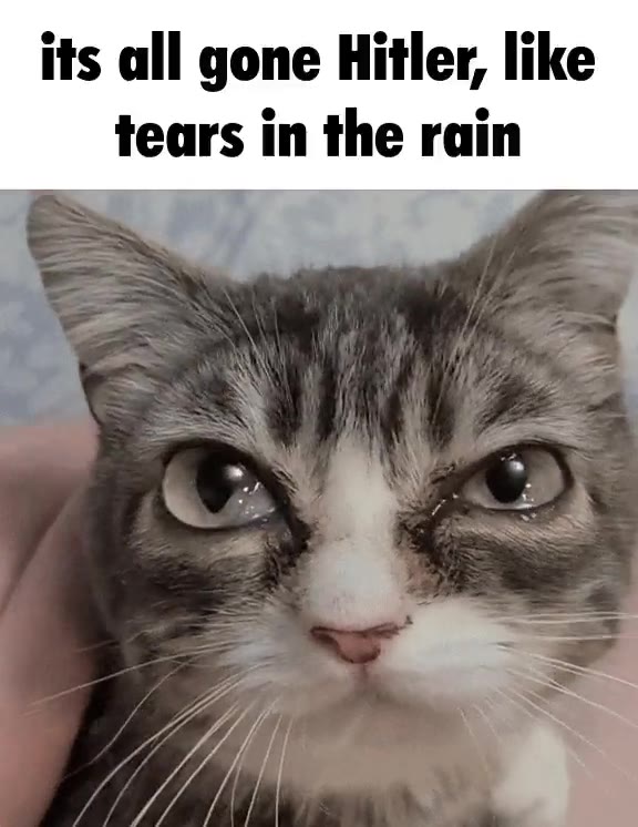 its all gone Hitler, like tears in the rain