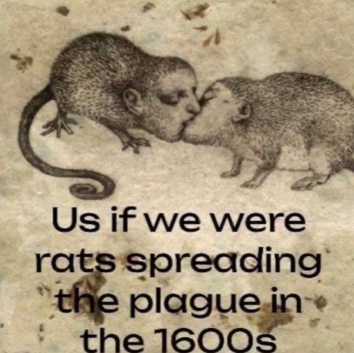 “4 if we were rats spreading