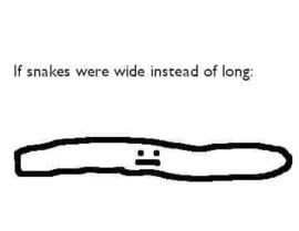 snakes were wide instead of long:
