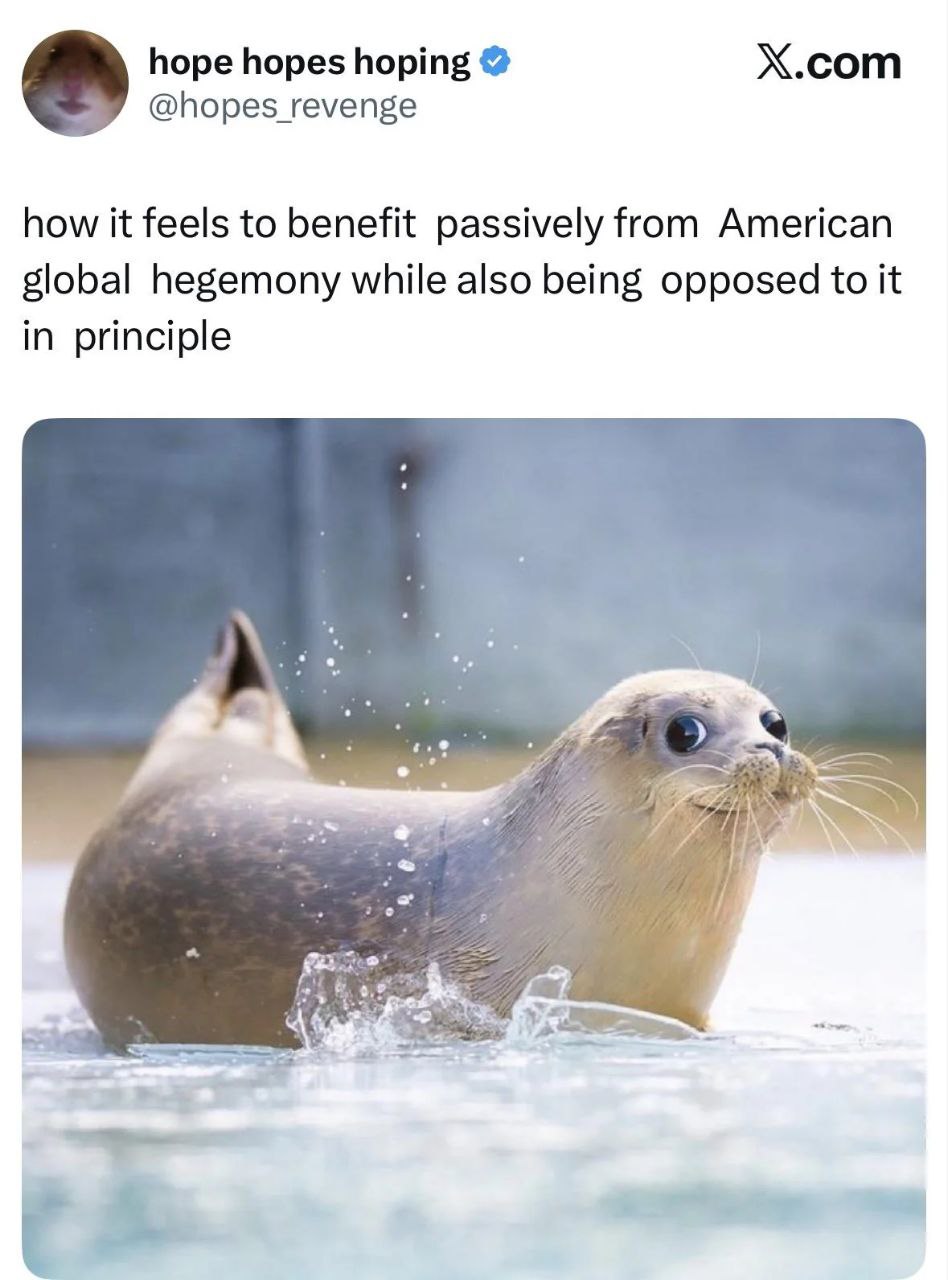 hope hopes hoping X.com @hopes revenge how it feels to benefit passively from American global hegemony while also being opposed to it in principle