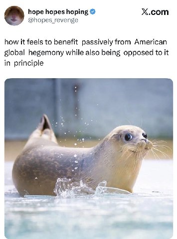 hope hopes hoping X.com @hopes revenge how it feels to benefit passively from American global hegemony while also being opposed to it in principle