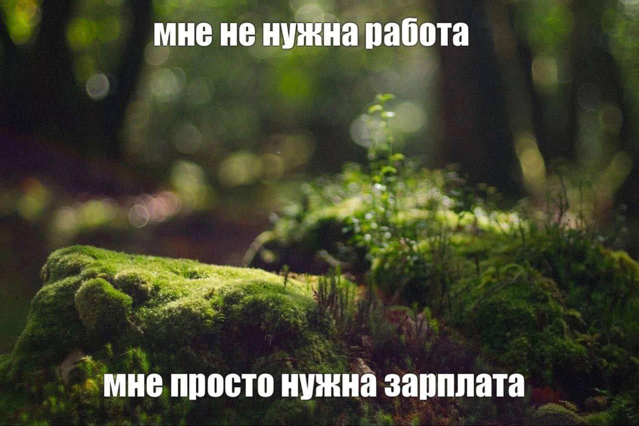 мне не нужна работа мне просто нужна зарплата