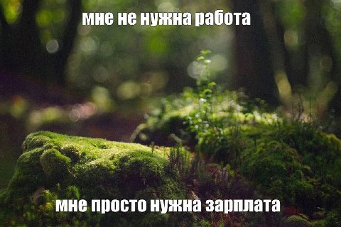 мне не нужна работа мне просто нужна зарплата