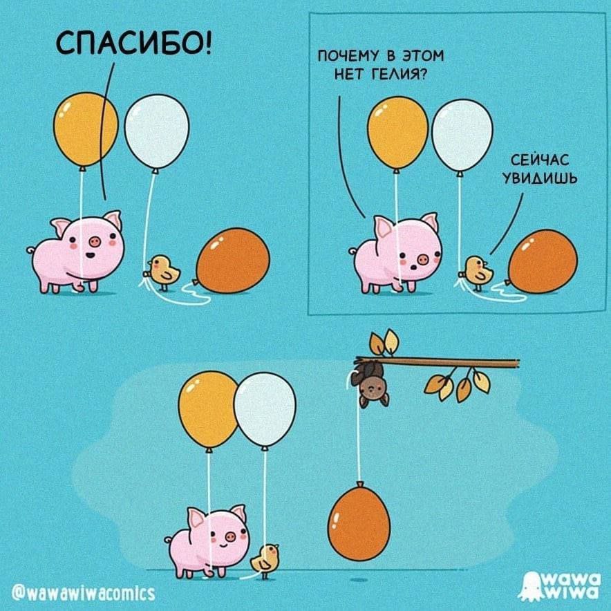 CNACUBO! УВИДИШЬ