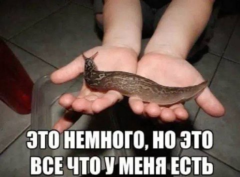 ЭТО НЕМНОГО, НО ЭТО ВСЕЧТО У МЕНЯ ЕСТЬ