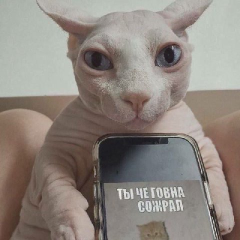 Thi COMPAN