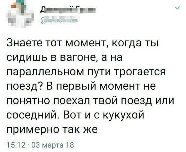 Знаете тот момент, когда ты сидишь в вагоне, а на параллельном пути трогается поезд? В первый момент не понятно поехал твой поезд или соседний. Вот и с кукухой примерно так же 15:12 03 марта 18