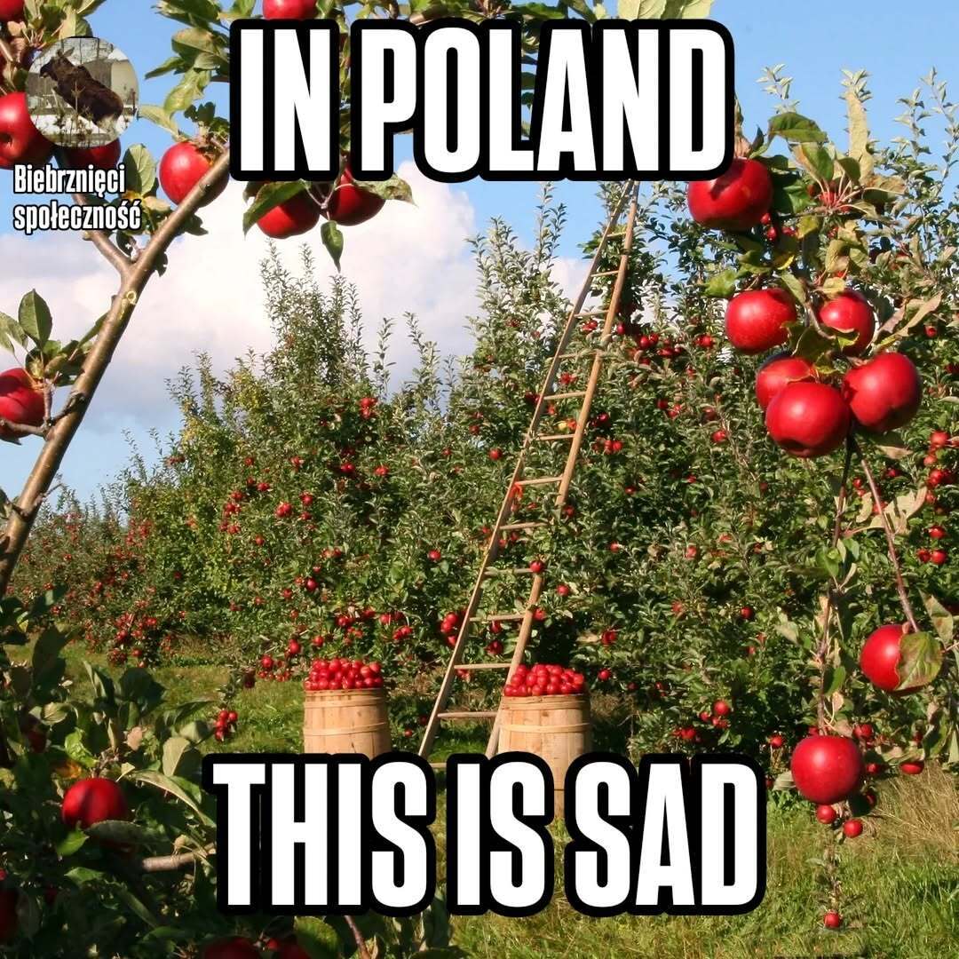 IN POLAND SAD