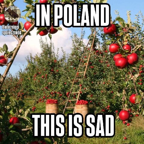 IN POLAND SAD
