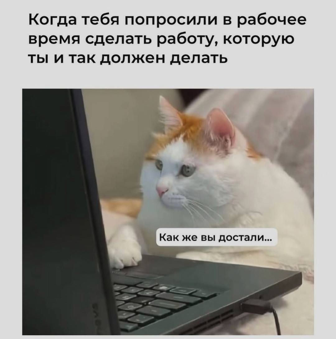 Когда тебя попросили в рабочее время сделать работу, которую ты и так должен делать Как же вы достали...