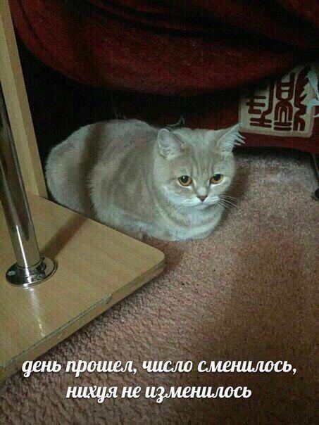 день прошел, число сменилось, нихуя не изменилось